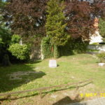 P1030954